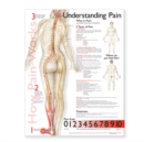 Understanding Pain Anatomical Chart - Book
