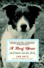Dog Year - eBook