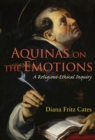 Aquinas on the Emotions : A Religious-Ethical Inquiry - eBook