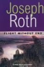 Flight Without End - eBook