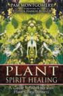 Plant Spirit Healing : A Guide to Working with Plant Consciousness - Book