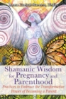 Shamanic Wisdom for Pregnancy and Parenthood : Practices to Embrace the Transformative Power of Becoming a Parent - Book