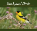 Backyard Birds : Welcomed Guests at Our Gardens and Feeders - eBook