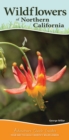 Wildflowers of Northern California : Your Way to Easily Identify Wildflowers - Book