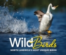 Wild Birds : North America's Most Unique Birds - Book