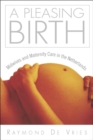 A Pleasing Birth : Midwives And Maternity Care - Book