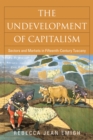 The Undevelopment of Capitalism : Sectors and Markets in Fifteenth-Century Tuscany - eBook