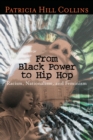 From Black Power to Hip Hop : Racism, Nationalism, and Feminism - eBook