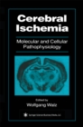Cerebral Ischemia : Molecular and Cellular Pathophysiology - eBook