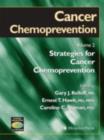 Cancer Chemoprevention : Volume 2: Strategies for Cancer Chemoprevention - eBook
