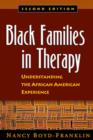 Black Families in Therapy, Second Edition : Understanding the African American Experience - Book