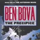 The Precipice : A Novel - eAudiobook
