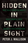 Hidden in Plain Sight : What Really Caused the World's Worst Financial Crisis and Why It Could Happen Again - eBook