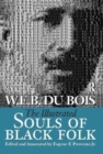 Illustrated Souls of Black Folk - Book