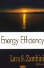 Energy Efficiency - Book