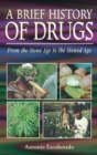 A Brief History of Drugs : From the Stone Age to the Stoned Age - eBook