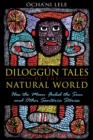 Diloggun Tales of the Natural World : How the Moon Fooled the Sun and Other Santeria Stories - eBook