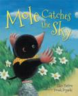 Mole Catches the Sky - Book