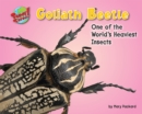 Goliath Beetle - eBook