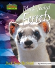 Black-footed Ferrets - eBook