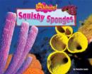 Squishy Sponges - eBook