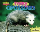 Tricky Opossums - eBook