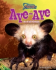 Aye-Aye - eBook