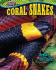 Coral Snakes - eBook