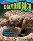 Diamondback Rattlers - eBook