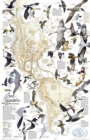 Bird Migration, Western Hemisphere, Tubed : Wall Maps History & Nature - Book