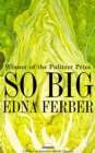 So Big: A Novel - eBook