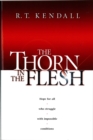 The Thorn In the Flesh - eBook