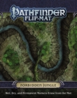 Pathfinder Flip-Mat: Forbidden Jungle - Book
