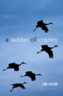 A Ladder of Cranes - eBook
