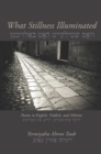 What Stillness Illuminated : Poems in English, Yiddish, and Hebrew - eBook