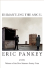 Dismantling the Angel - eBook
