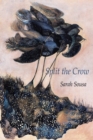 Split the Crow - eBook