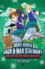 Secret Agents Jack and Max Stalwart: Book 3 : The Fate of the Irish Treasure: Ireland - Book
