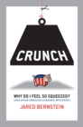 Crunch : Why Do I Feel So Squeezed? (and Other Unsolved Economic Mysteries) - eBook