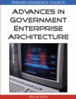 Advances in Government Enterprise Architecture - eBook