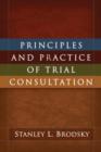 Principles and Practice of Trial Consultation - Book