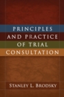 Principles and Practice of Trial Consultation - eBook