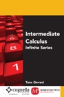 Intermediate Calculus: Infinite Series - eBook