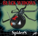 Black Widows - eBook