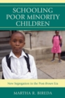 Schooling Poor Minority Children : New Segregation in the Post-Brown Era - Book