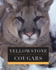 Yellowstone Cougars : Ecology before and during Wolf Restoration - eBook