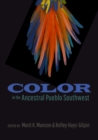 Color in the Ancestral Pueblo Southwest - Book