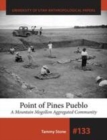 Point of Pines Pueblo : A Mountain Mogollon Aggregated Community - eBook