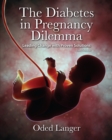 The Diabetes in Pregnancy Dilemma : Leading Change with Proven Solutions - eBook