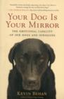 Your Dog is Your Mirror : The Emotional Capacity of Our Dogs and Ourselves - Book
